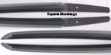 koyama munetsugu
